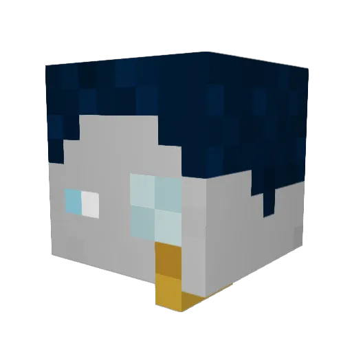 Dumetera Minecraft avatar head, 3D render