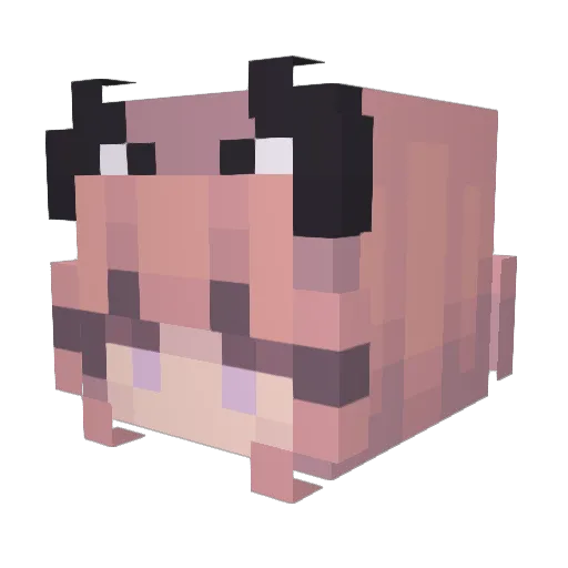 DumiNolax Minecraft avatar head, 3D render