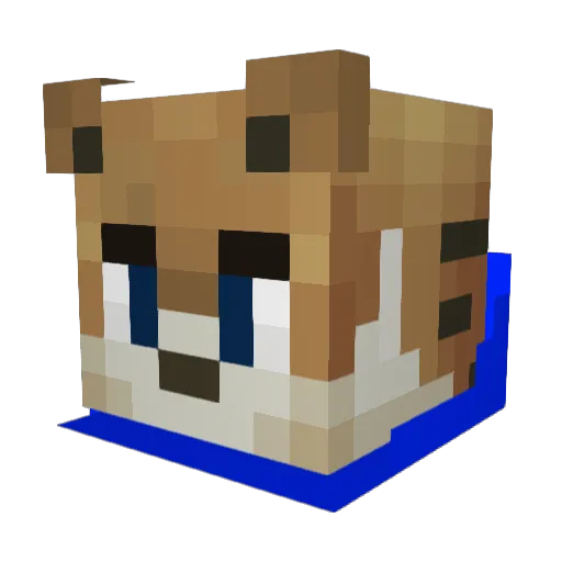 Dumm_Kopf Minecraft avatar head, 3D render