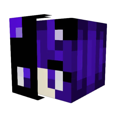 DummiBoy Minecraft avatar head, 3D render