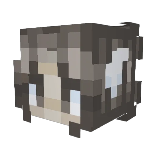 DumpleDog Minecraft avatar head, 3D render