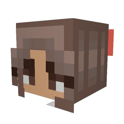 Dumpster_Babyx Minecraft avatar head, 3D render