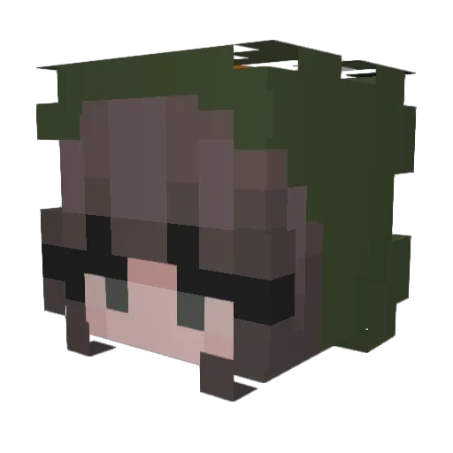 DumpstrDiver Minecraft avatar head, 3D render