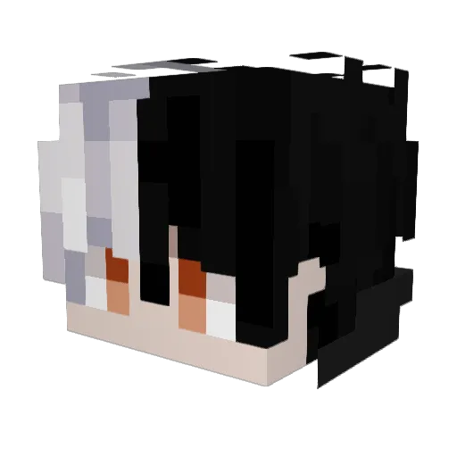 Dun_u Minecraft avatar head, 3D render