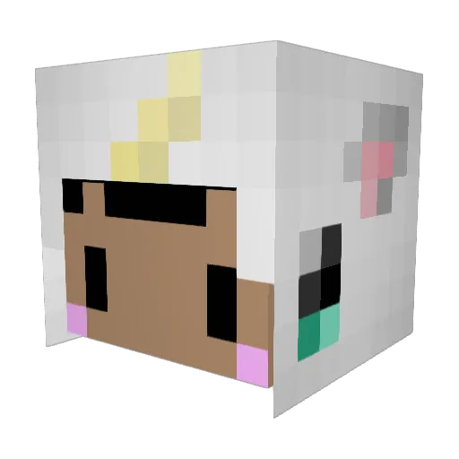 Dunbinho Minecraft avatar head, 3D render