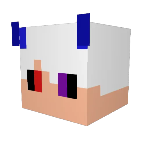 DuncanIsa Minecraft avatar head, 3D render
