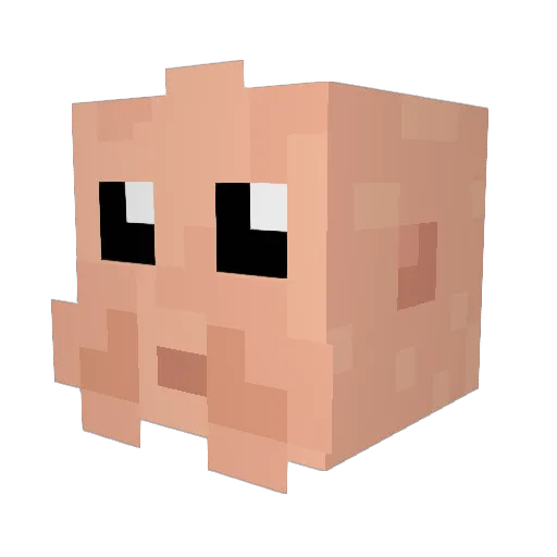 Dunce_O Minecraft avatar head, 3D render