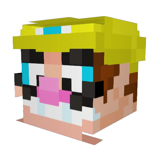 Dundun69 Minecraft avatar head, 3D render