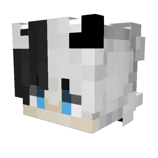Dunefighter69 Minecraft avatar head, 3D render