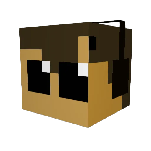 DungWeaver Minecraft avatar head, 3D render