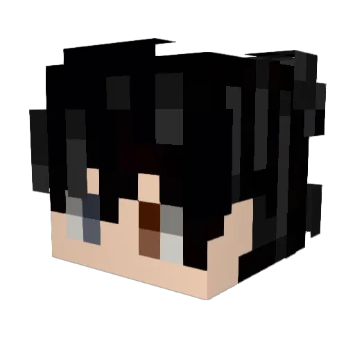 DungaSensei Minecraft avatar head, 3D render