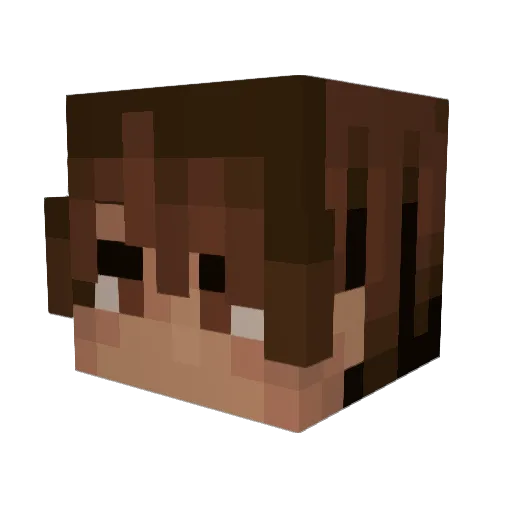 Dungeind Minecraft avatar head, 3D render