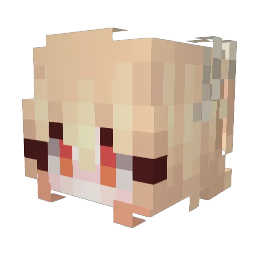 DungeonHub Minecraft avatar head, 3D render