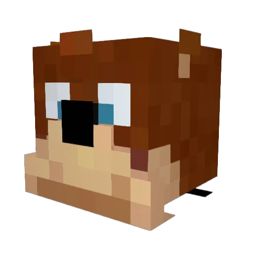 DungeonMind Minecraft avatar head, 3D render