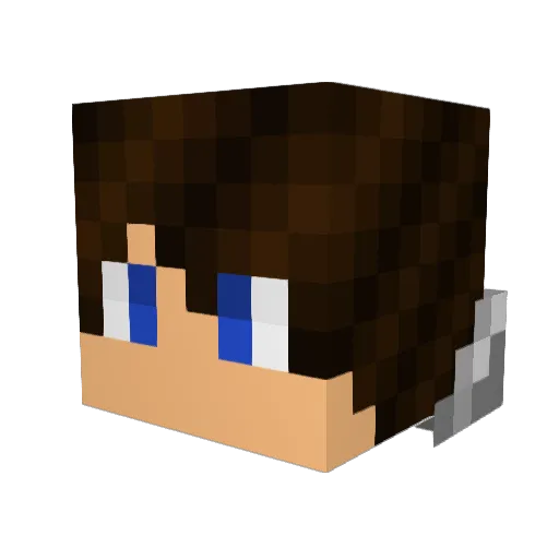 Dungeon_Out Minecraft avatar head, 3D render