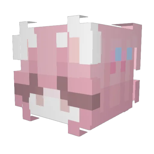 DungeonizedCat Minecraft avatar head, 3D render