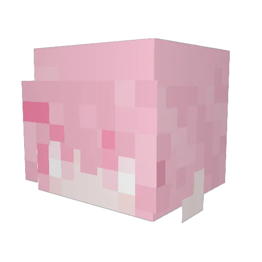 Dungsil_ Minecraft avatar head, 3D render