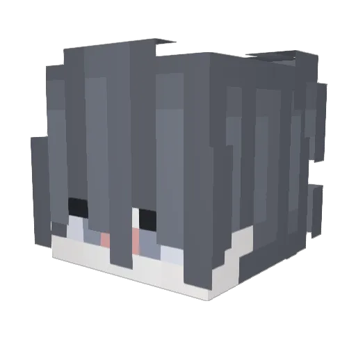 Dunia_ii Minecraft avatar head, 3D render