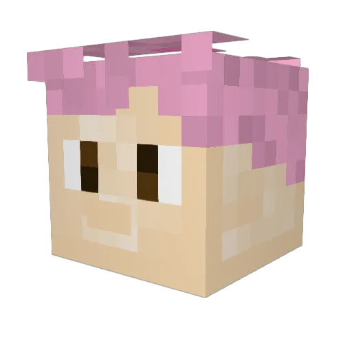 Dunkapelika Minecraft avatar head, 3D render