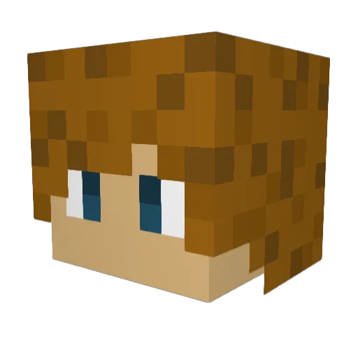 Dunkedchicken Minecraft avatar head, 3D render