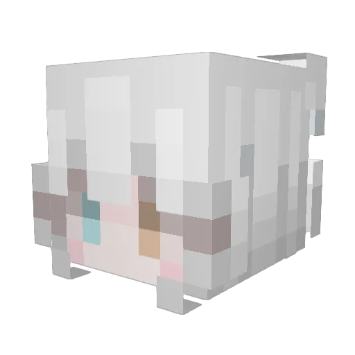 Dunkelsi Minecraft avatar head, 3D render