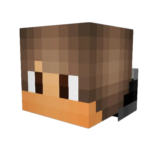 DunkieDonuts Minecraft avatar head, 3D render