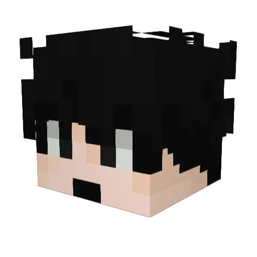 Dunkilegit25CM Minecraft avatar head, 3D render