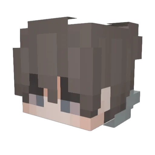 Dunking1118 Minecraft avatar head, 3D render