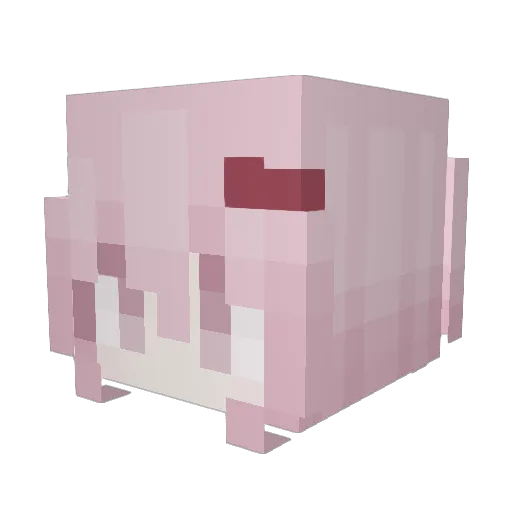 Dunkky Minecraft avatar head, 3D render