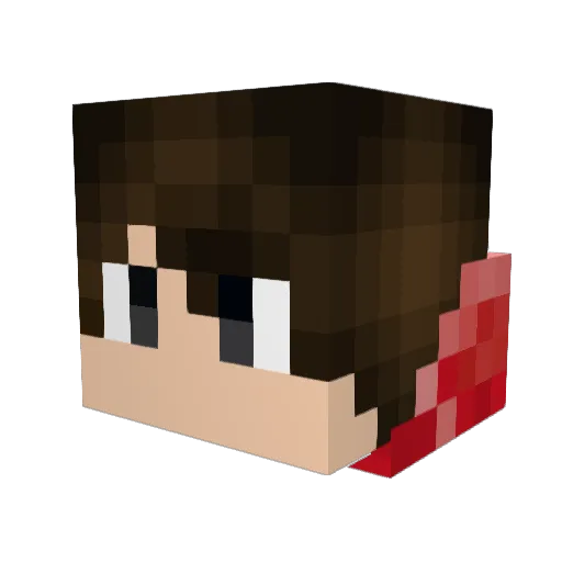 Dunn21 Minecraft avatar head, 3D render