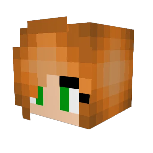 Dunnigan Minecraft avatar head, 3D render