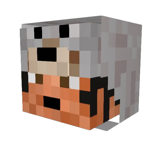 Dunnoe Minecraft avatar head, 3D render