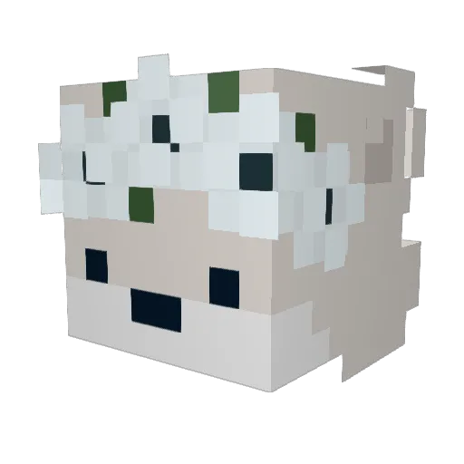 Dunnq Minecraft avatar head, 3D render