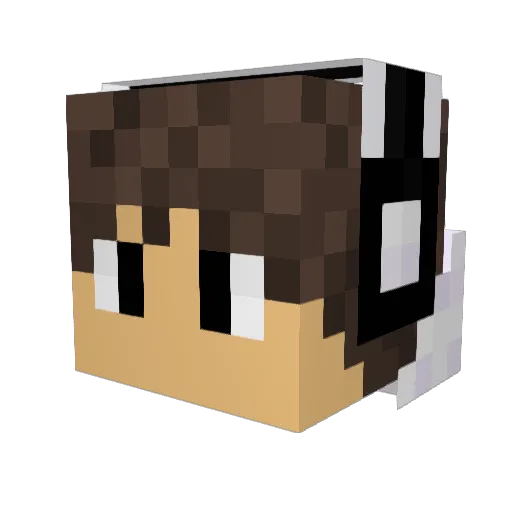 Dunntheman Minecraft avatar head, 3D render