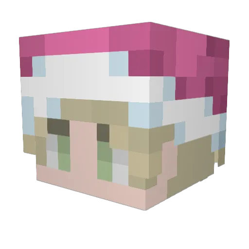 Dunuuut Minecraft avatar head, 3D render