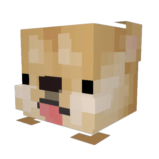 DuoPlays Minecraft avatar head, 3D render