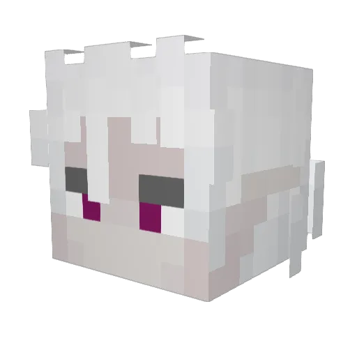 Duon95 Minecraft avatar head, 3D render