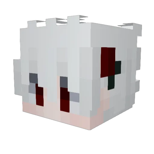 Duos_ Minecraft avatar head, 3D render