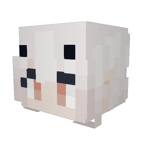 Dup1imod Minecraft avatar head, 3D render