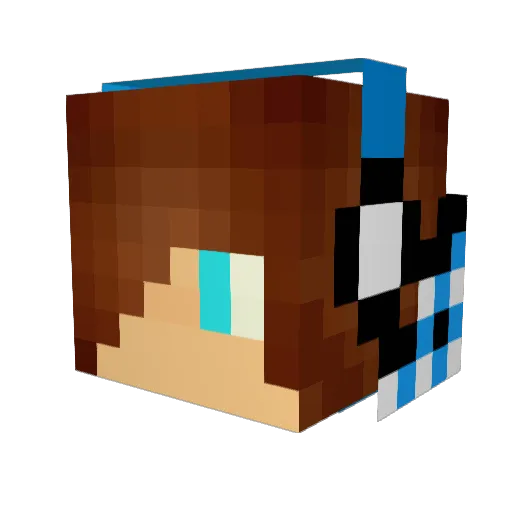 DupeMCaccount1 Minecraft avatar head, 3D render