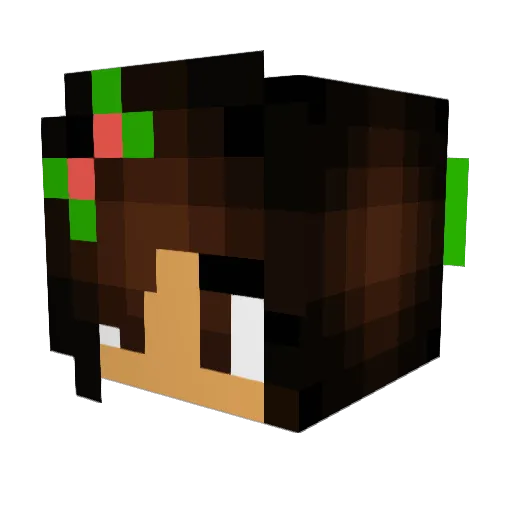 DupeSlays Minecraft avatar head, 3D render