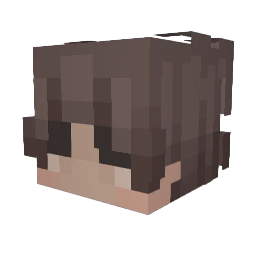 Duplikacja Minecraft avatar head, 3D render