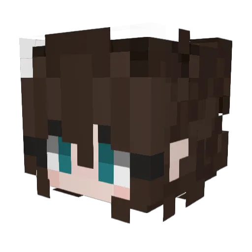 Duplo_123 Minecraft avatar head, 3D render
