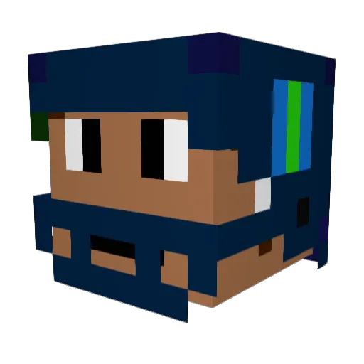 DupzEdits Minecraft avatar head, 3D render