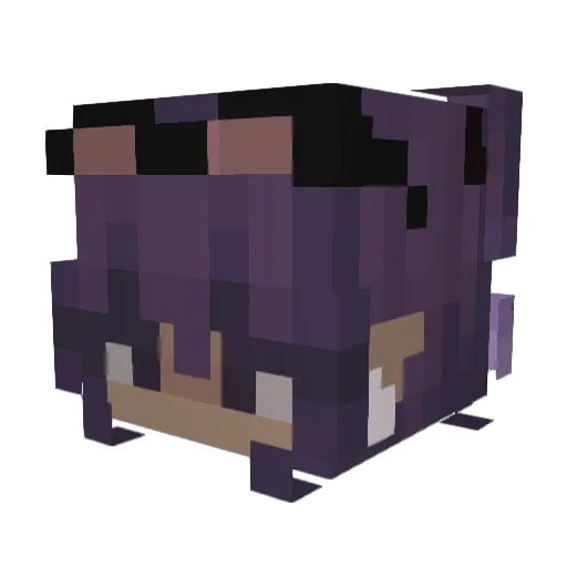 Duqlo Minecraft avatar head, 3D render