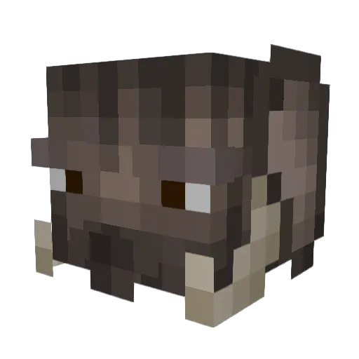 Durable_Mammal Minecraft avatar head, 3D render