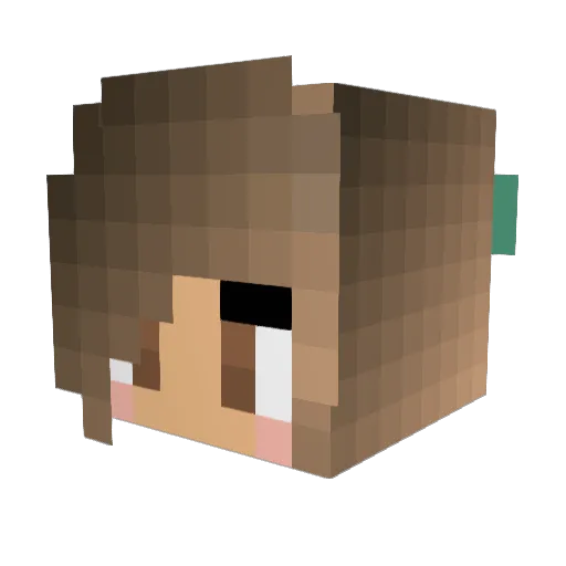 Durd11Jr Minecraft avatar head, 3D render
