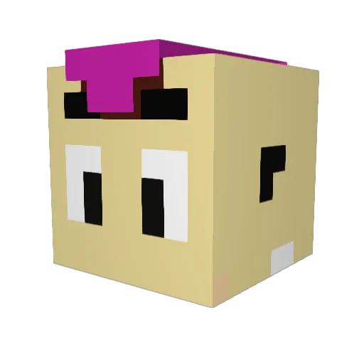 Durgu Minecraft avatar head, 3D render