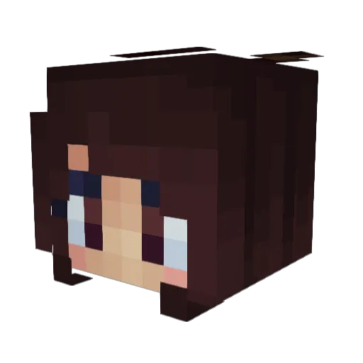 DurpCat1 Minecraft avatar head, 3D render