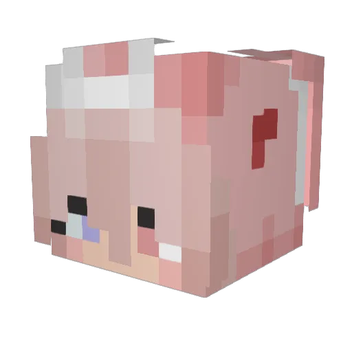Durpy_Jammy Minecraft avatar head, 3D render
